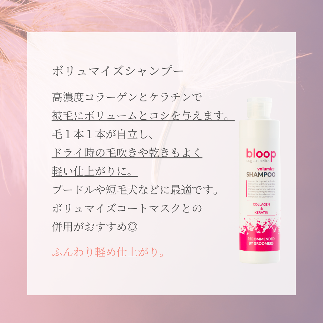 of cosmetics シャンプー