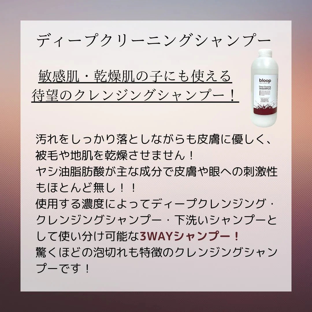 ランズOKシャンプートライアルセット＜送料無料＞