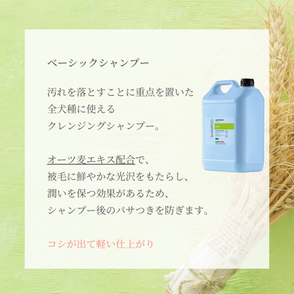 ベーシックシャンプー